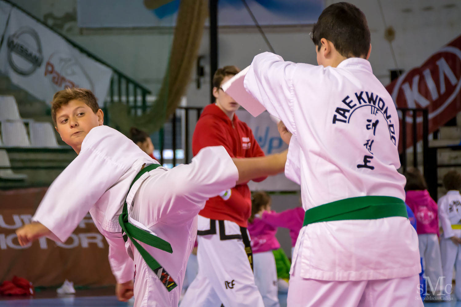 TAEKWONDO CAMPEONATO PAREJAS ABRIL 2018_1997.jpg